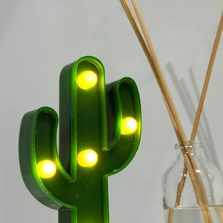 Cactus Τορρεμολίνος