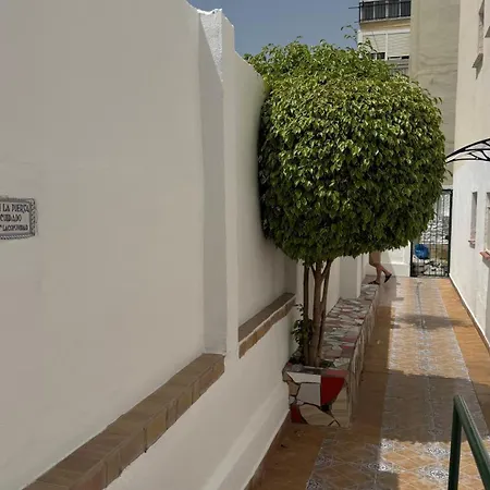 Cactus טורמולינוס