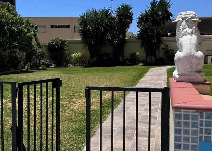 Cactus * טורמולינוס